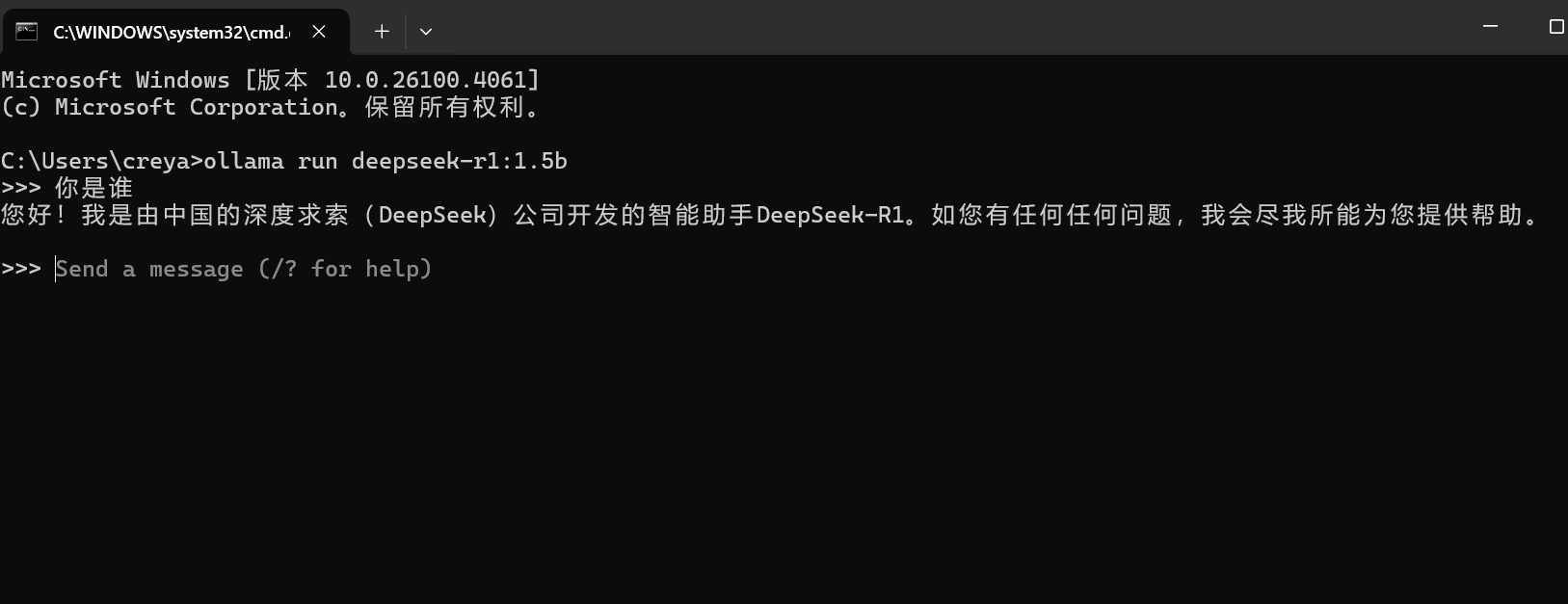 Spring AI调用Ollama+DeepSeek_应用程序_03