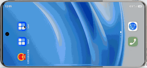 demo
