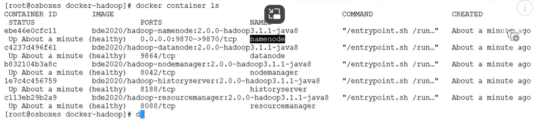 使用Docker容器轻松搭建Hadoop_Hadoop_04