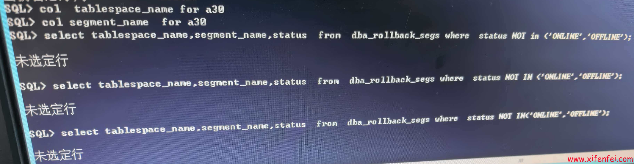 undo_seg