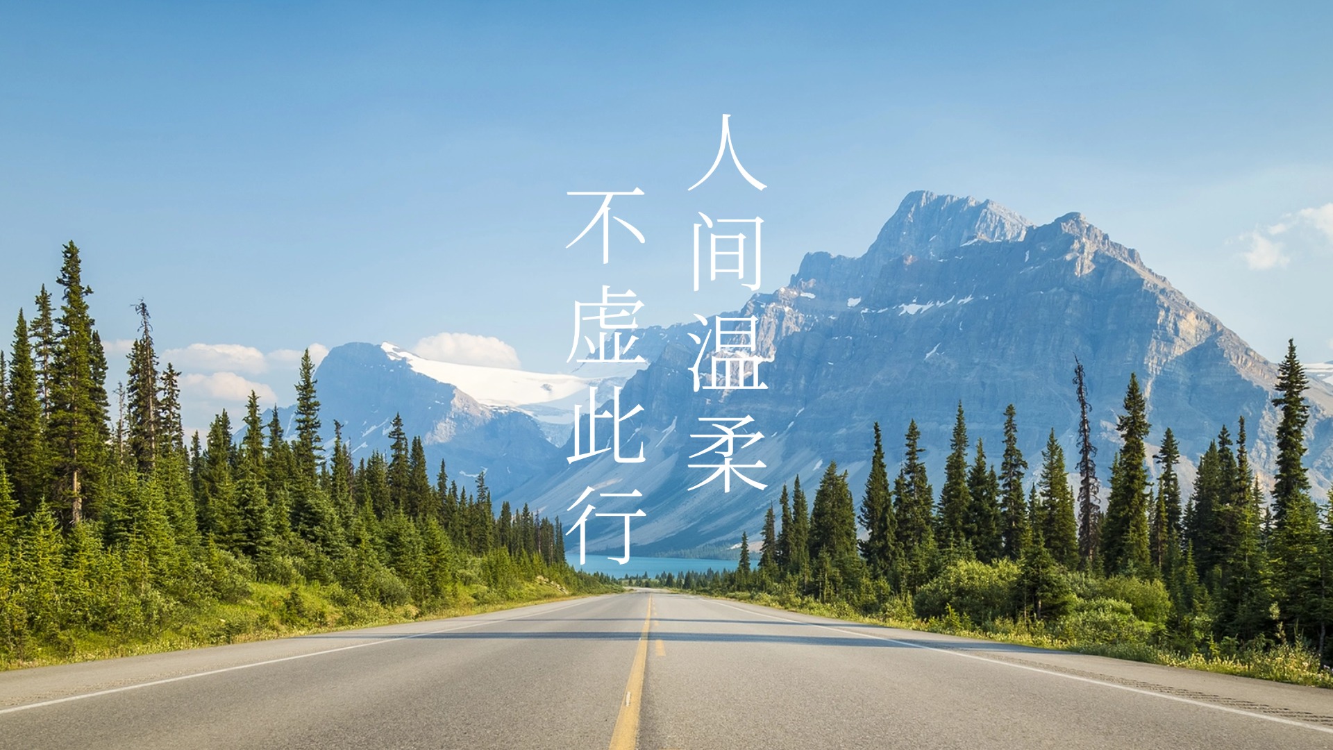 文章插图
