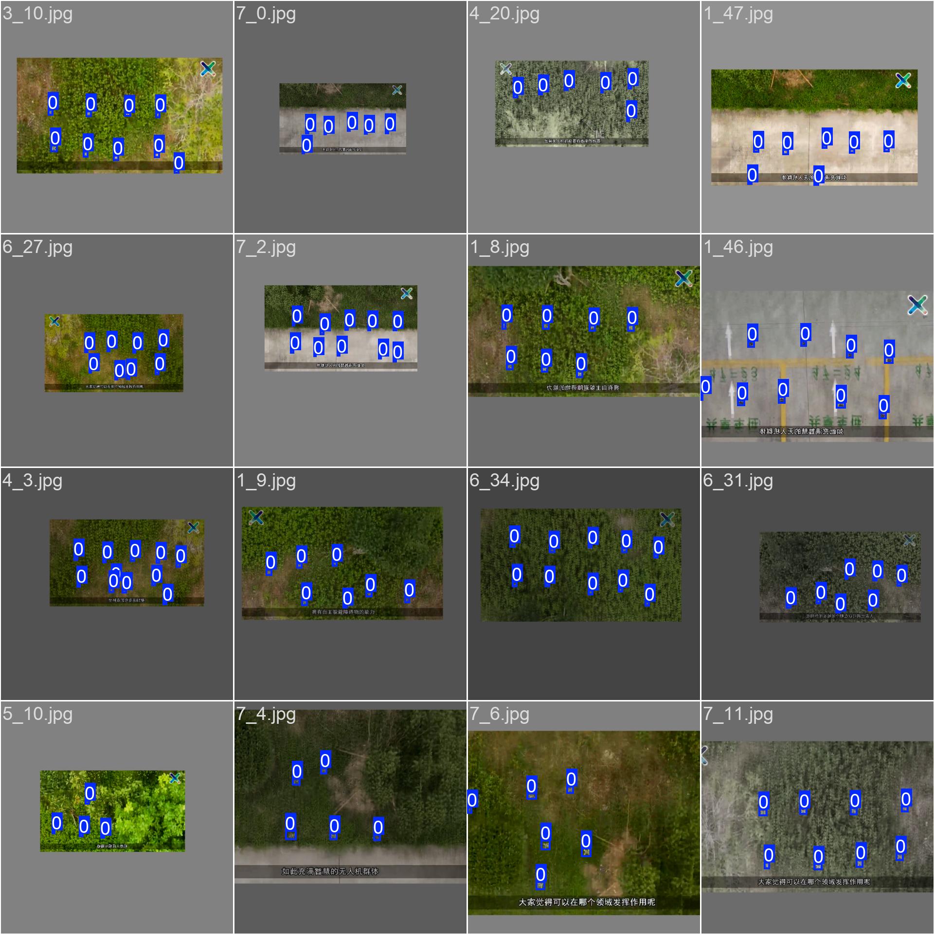 45-xin_train_batch361