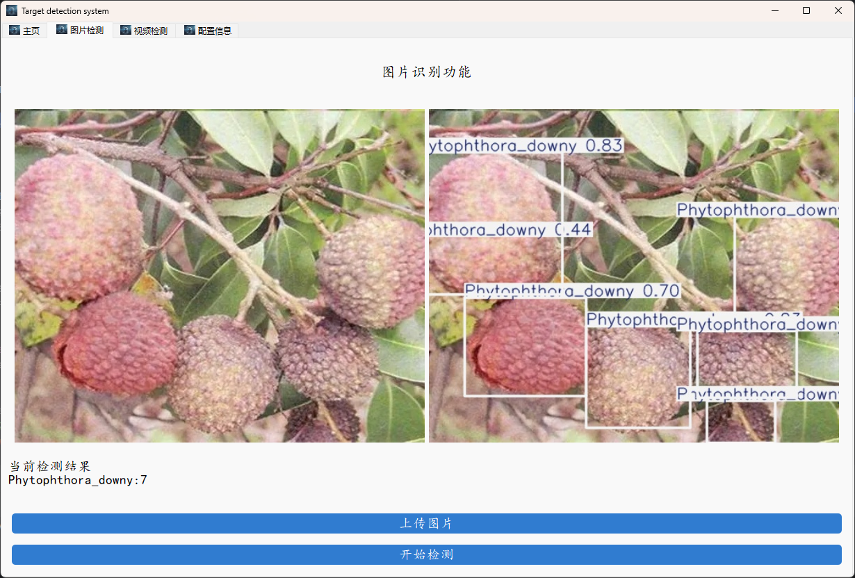 image-20250327151442223