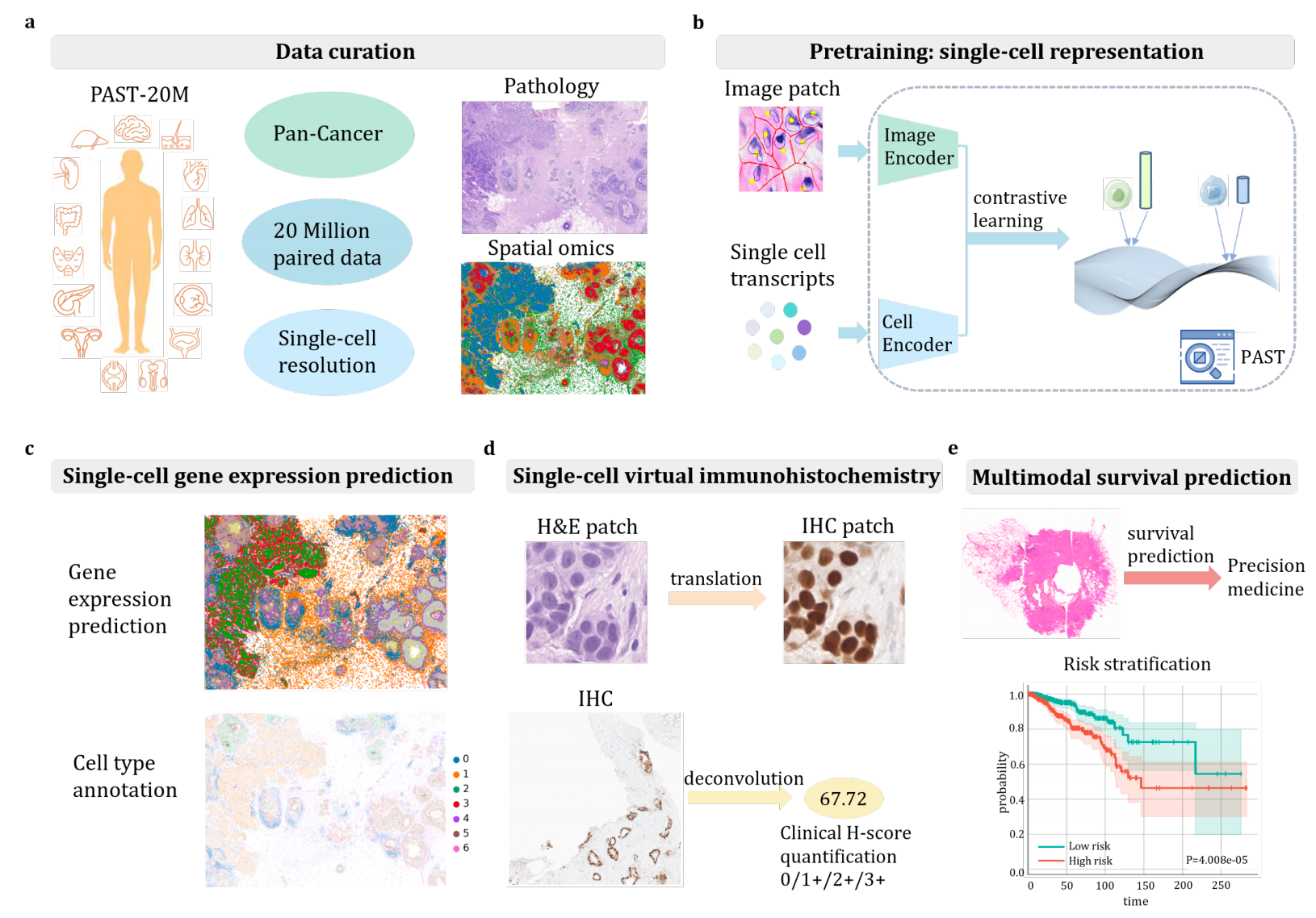 PAST: A multimodal single-cell foundation model for histopathology and spatial transcriptomics in cancer