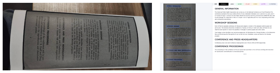 样本原图、预处理矫正结果与解析输出