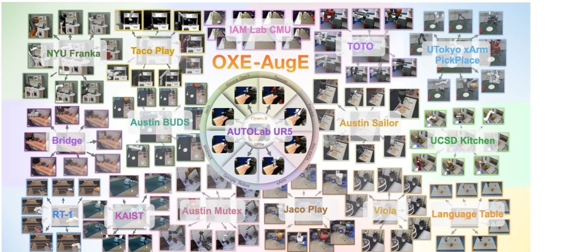 图1｜OXE-AugE的数据版图