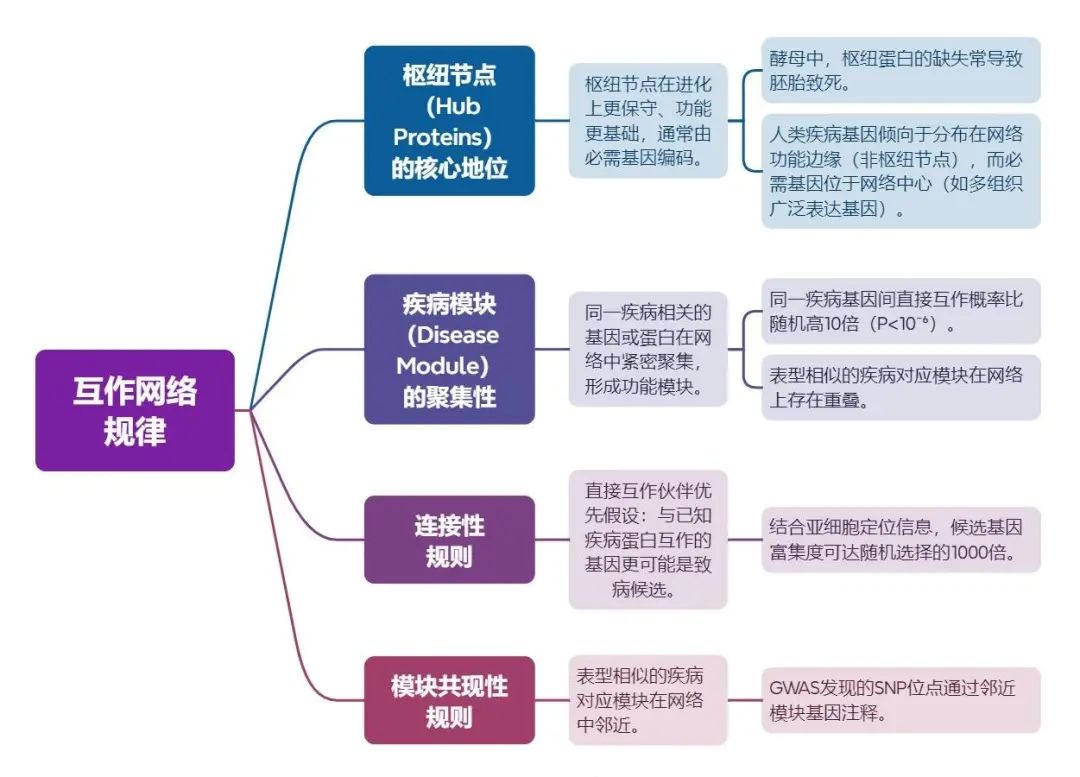 【技术应用】从互作网络图谱的角度来解码人类疾病复杂性-CSDN博客