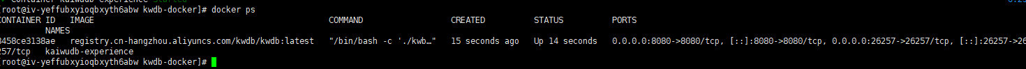 image-20260227155928825
