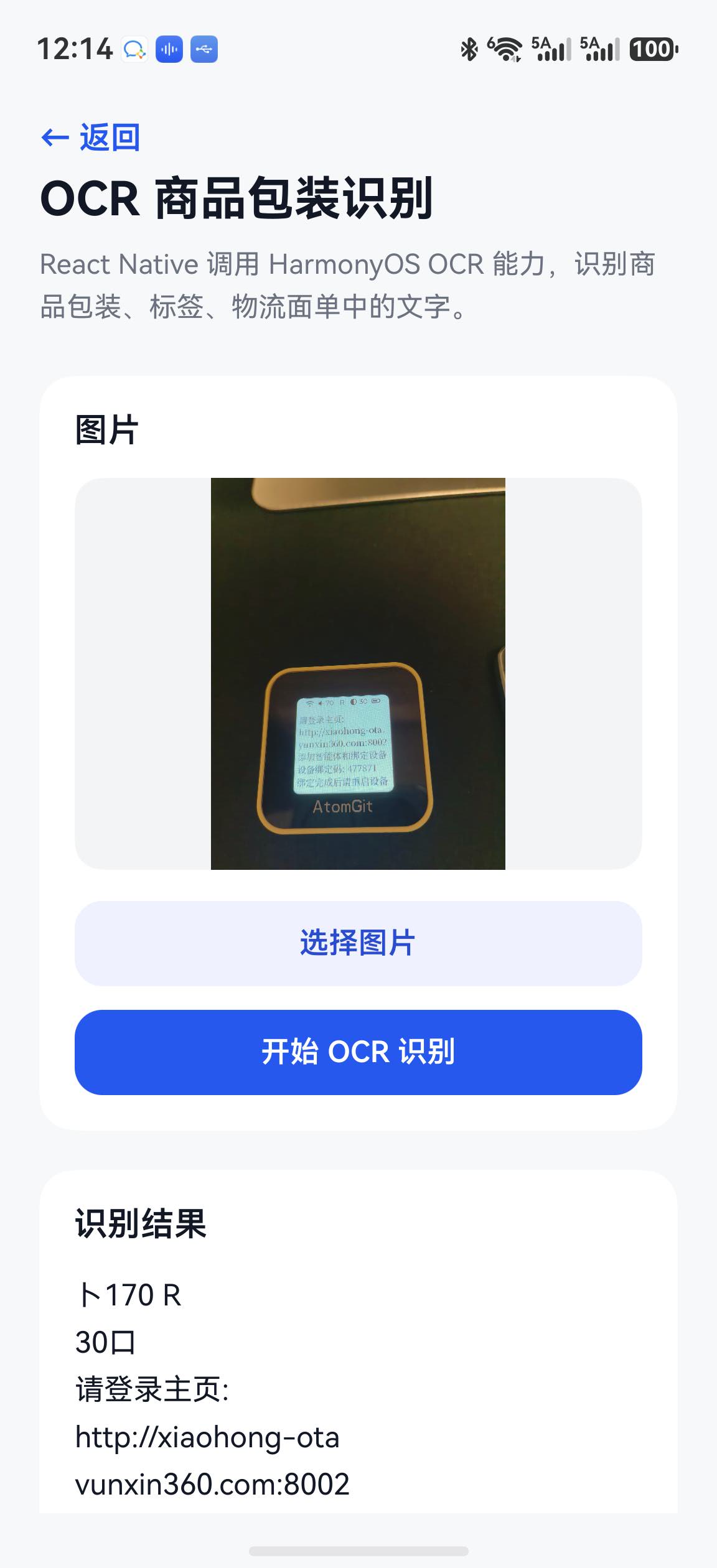 OCR 识别结果回显