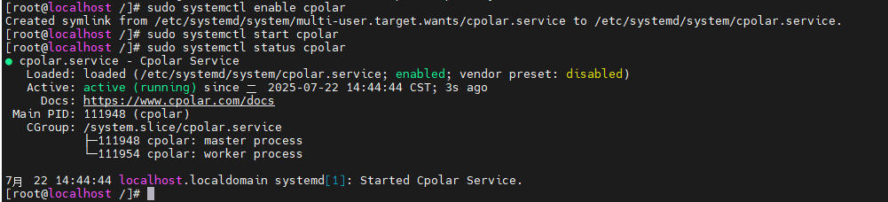 Checking cpolar service status