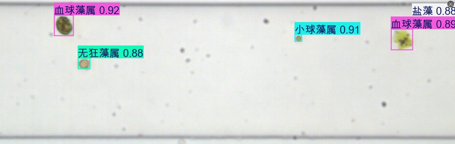 image-20250729201134536