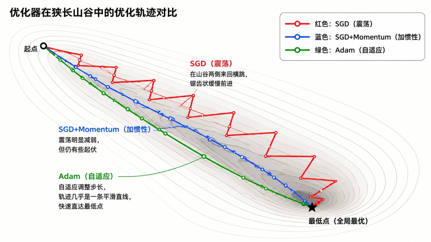 SGD/Momentum/Adam 在山谷中的轨迹对比