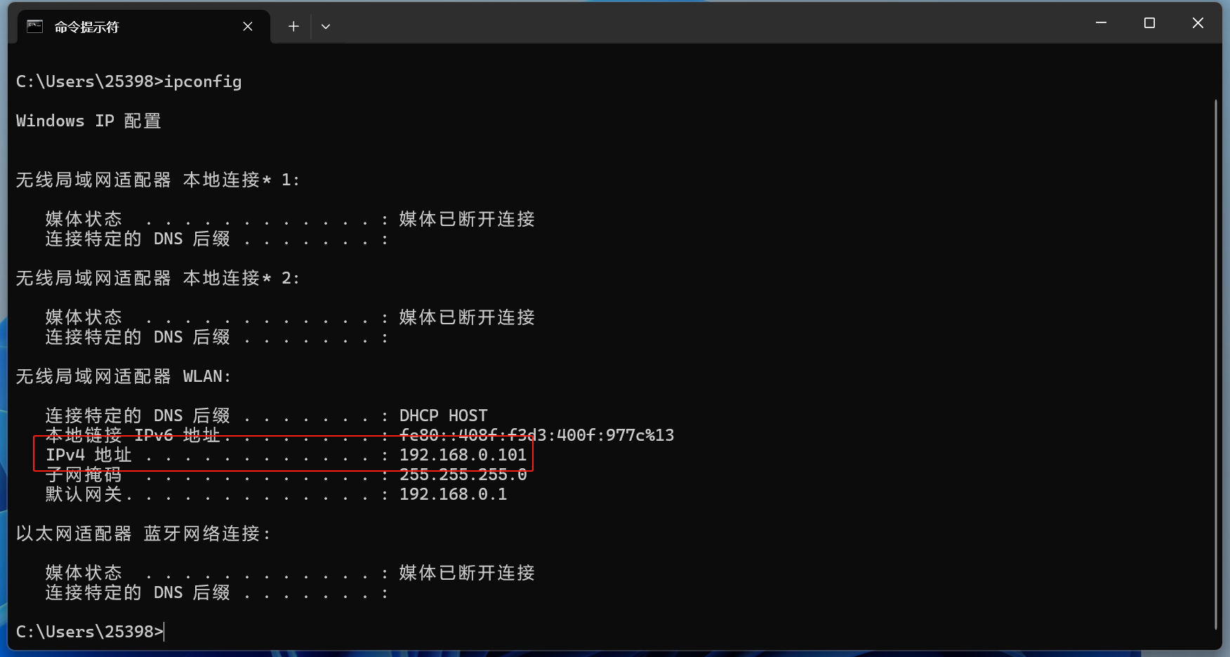 image-20250411175926507