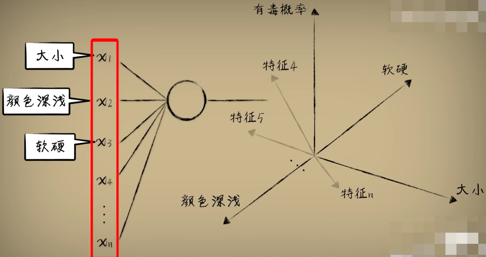 image-20250226130826082