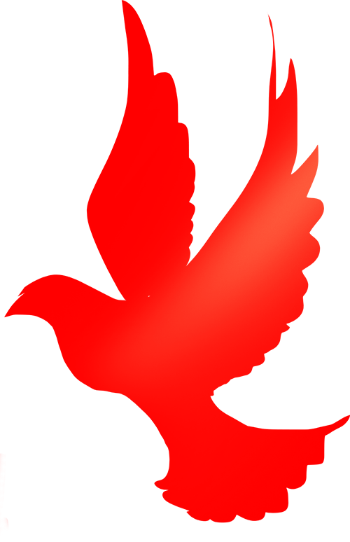 一站式掌握 .NET Conf China 2025 最全参会攻略！文末更有神秘惊喜！