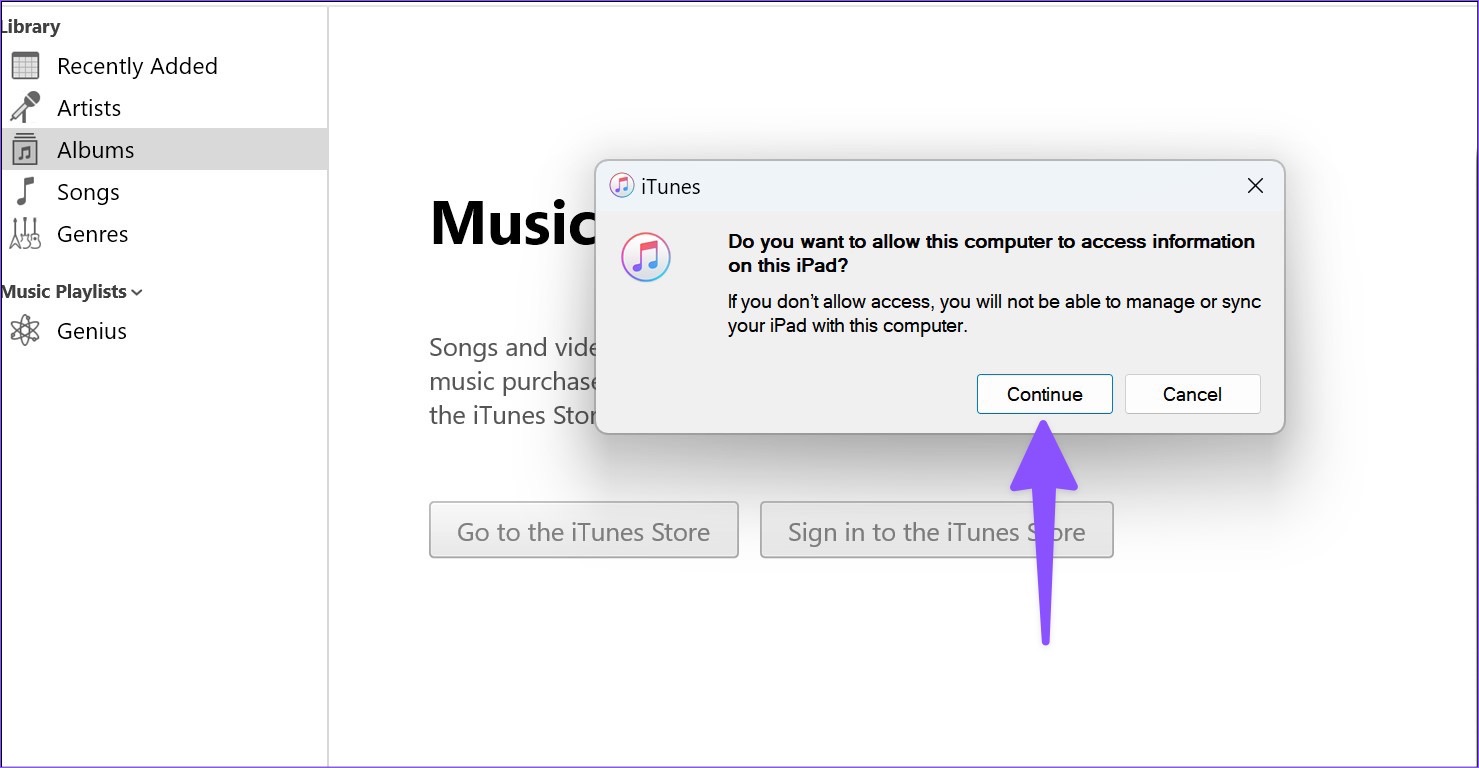 Allow iTunes to access iPad