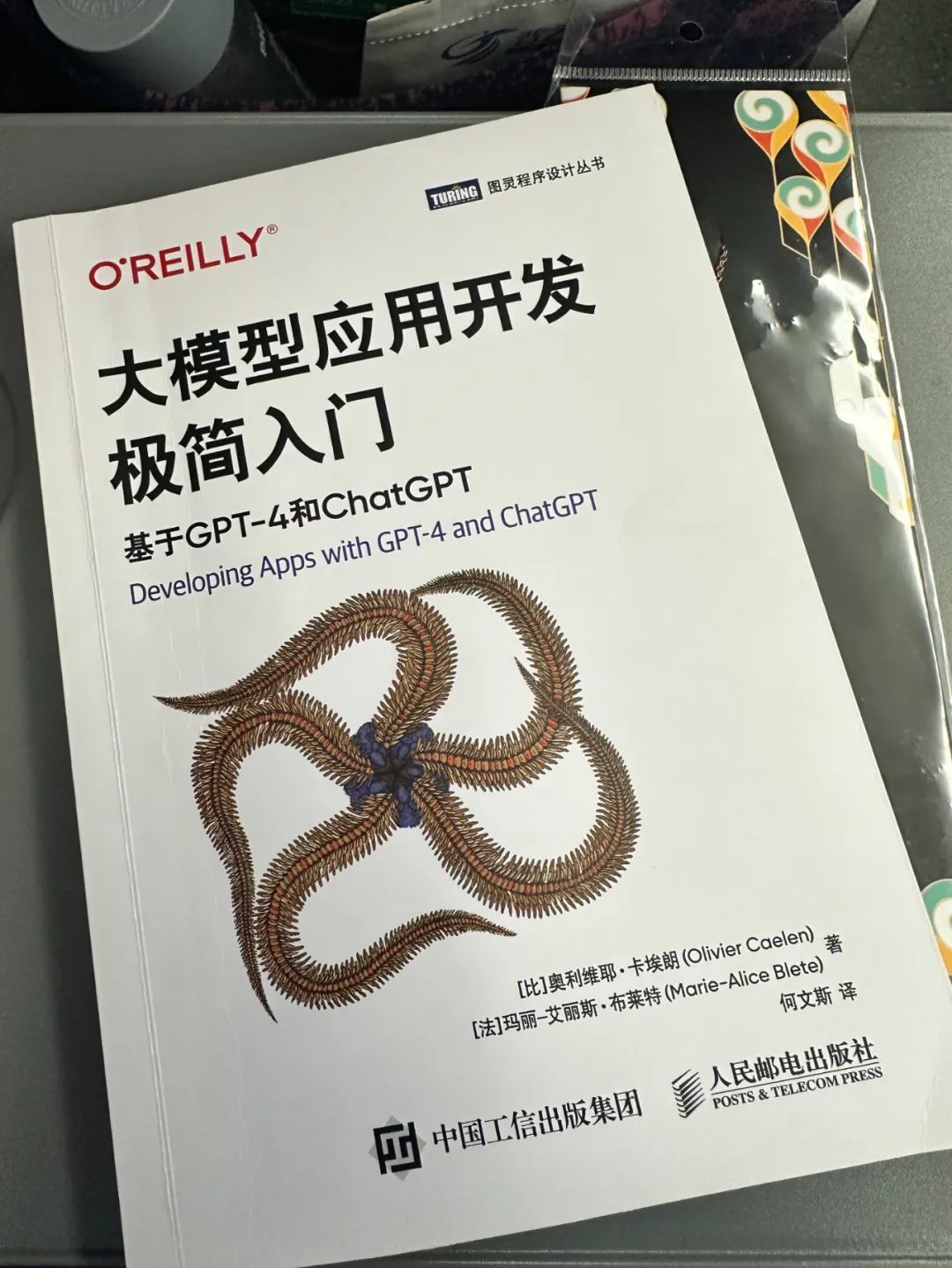 大模型开发门槛降低!精简小册子《大模型应用开发极简入门》助你快速入局,PDF可下载!_大模型应用开发极简入门 pdf下载-CSDN博客