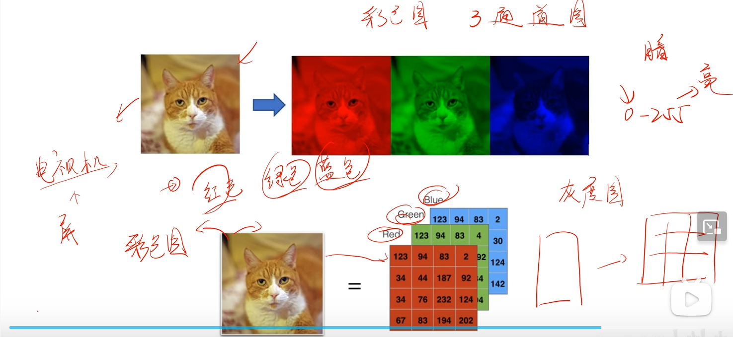 image-20250720153053484