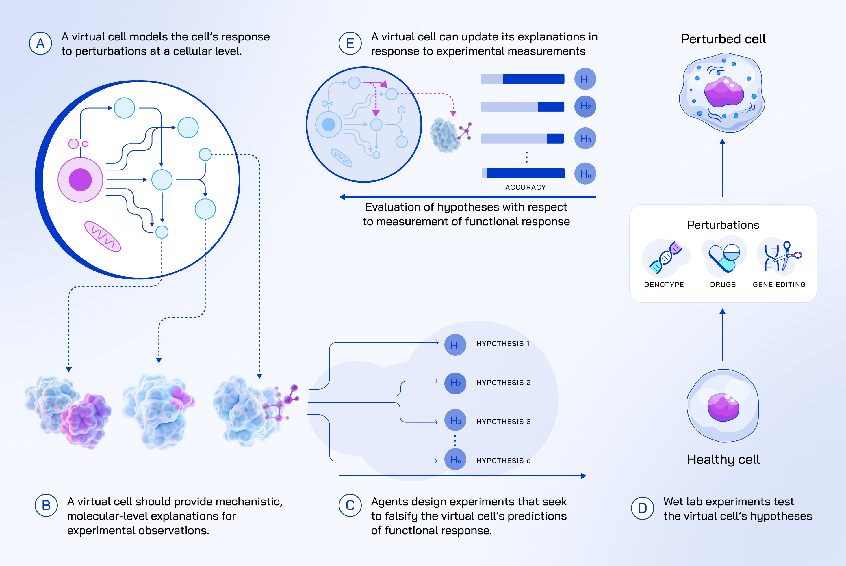 A vision for virtual cells: the Predict-Explain-Discover capabilities in action