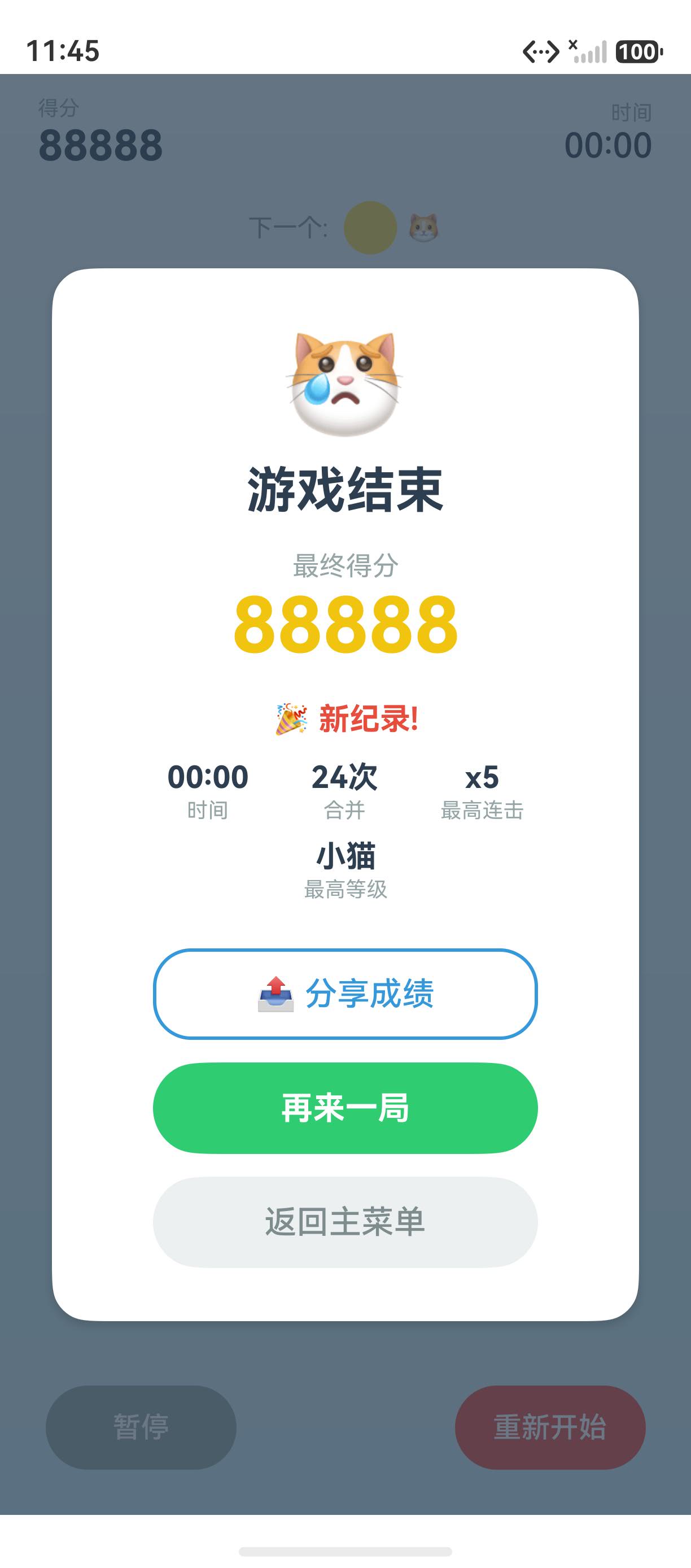 页面预览