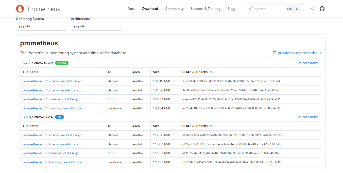 image-20251111145638563