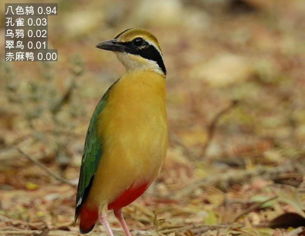 image-20250903022122968