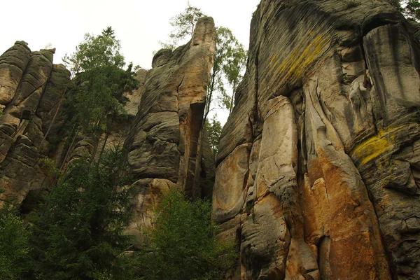 简洁的桌面布置，展现高效工作环境