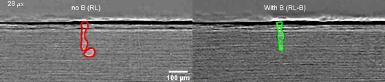 ca090def8e1bf3c52e2902082fdbb6e5.gif