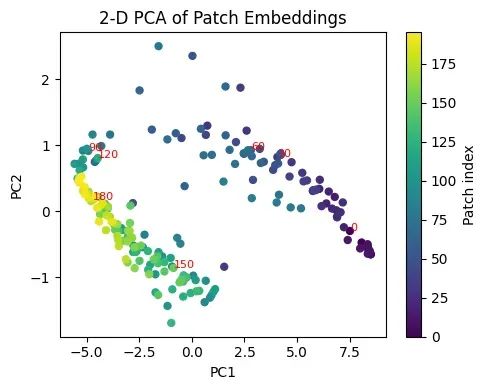 ViTAR:模糊位置编码让视觉Transformer适配任意分辨率图像_深度学习_11
