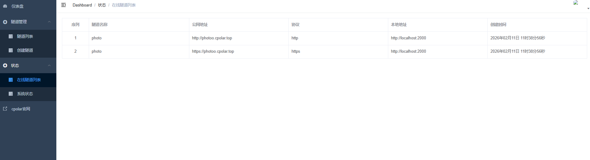 Tunnel list page after the fixed public address takes effect