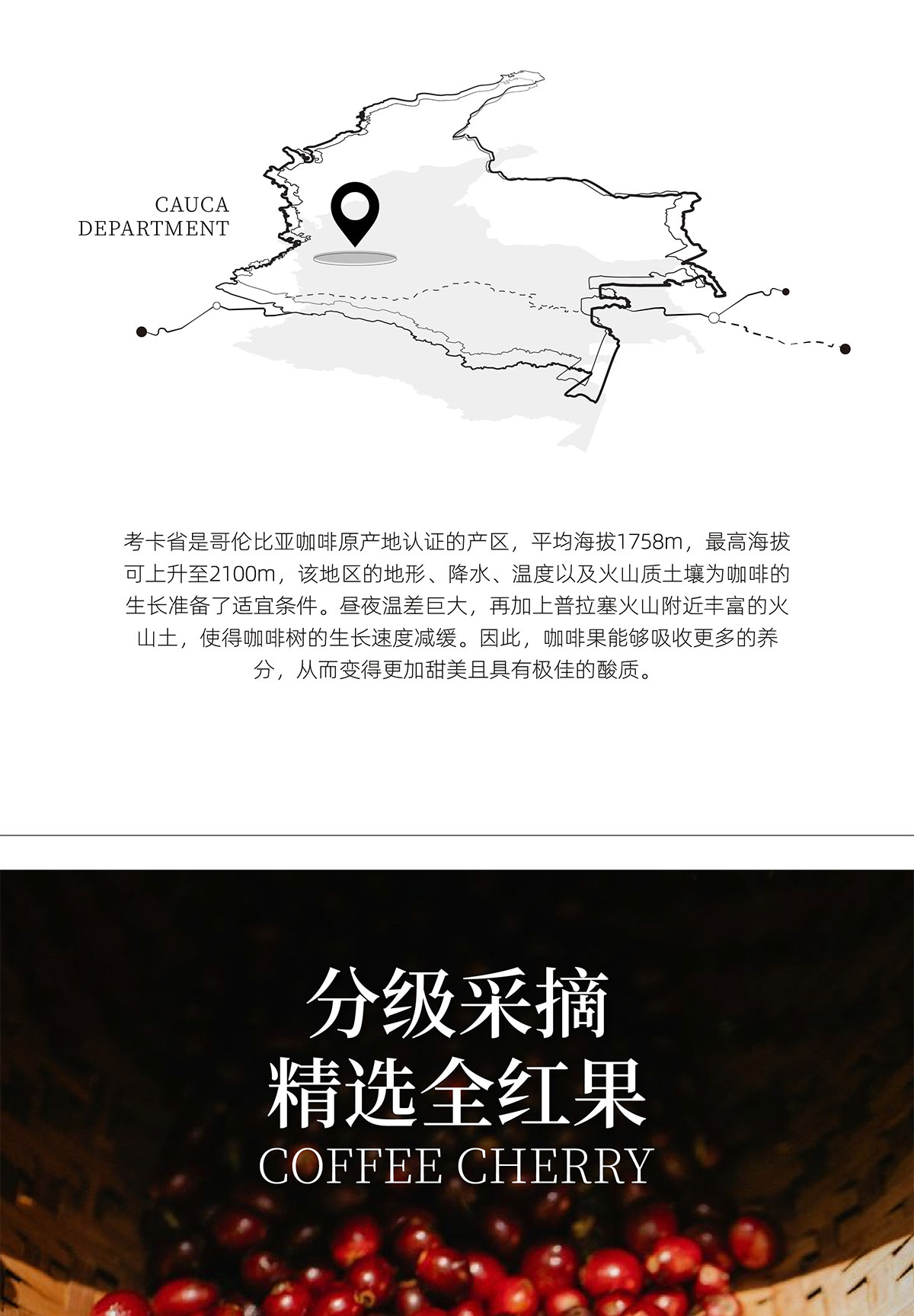 MISAI咖啡豆