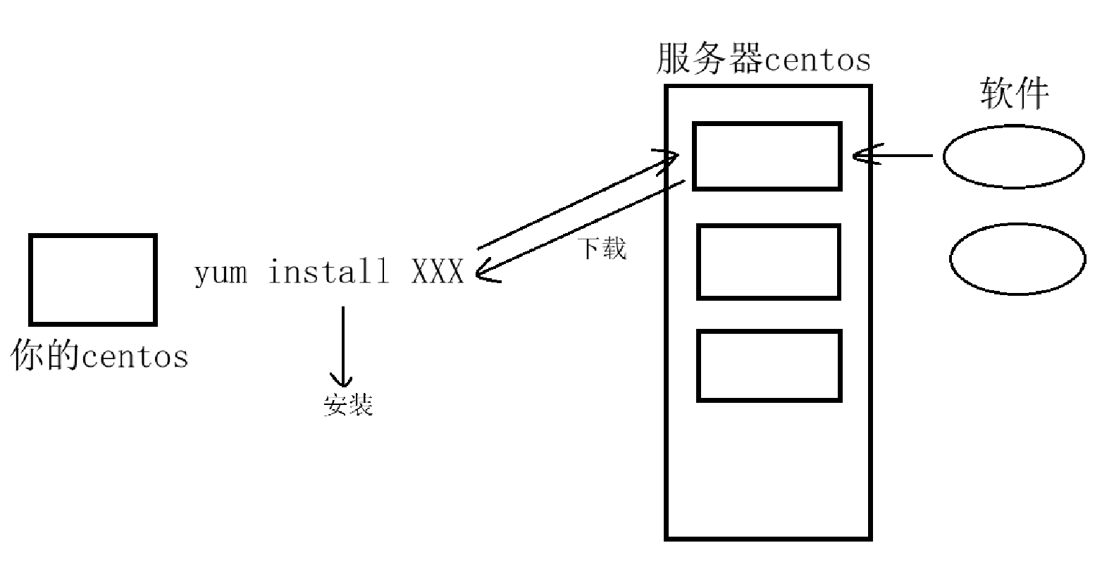 image-20241201231345232