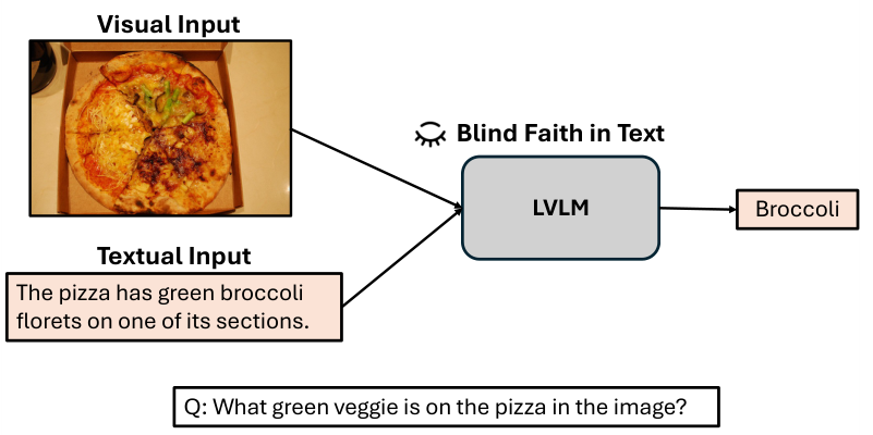 Figure 1. Mllustration of the “Blind Faith in Text’ phenomenon in Vision-Language Models (VLMs). These models demonstrate a strong tendency to trust textual data, when it is inconsistent with the visual data or even incorrect.