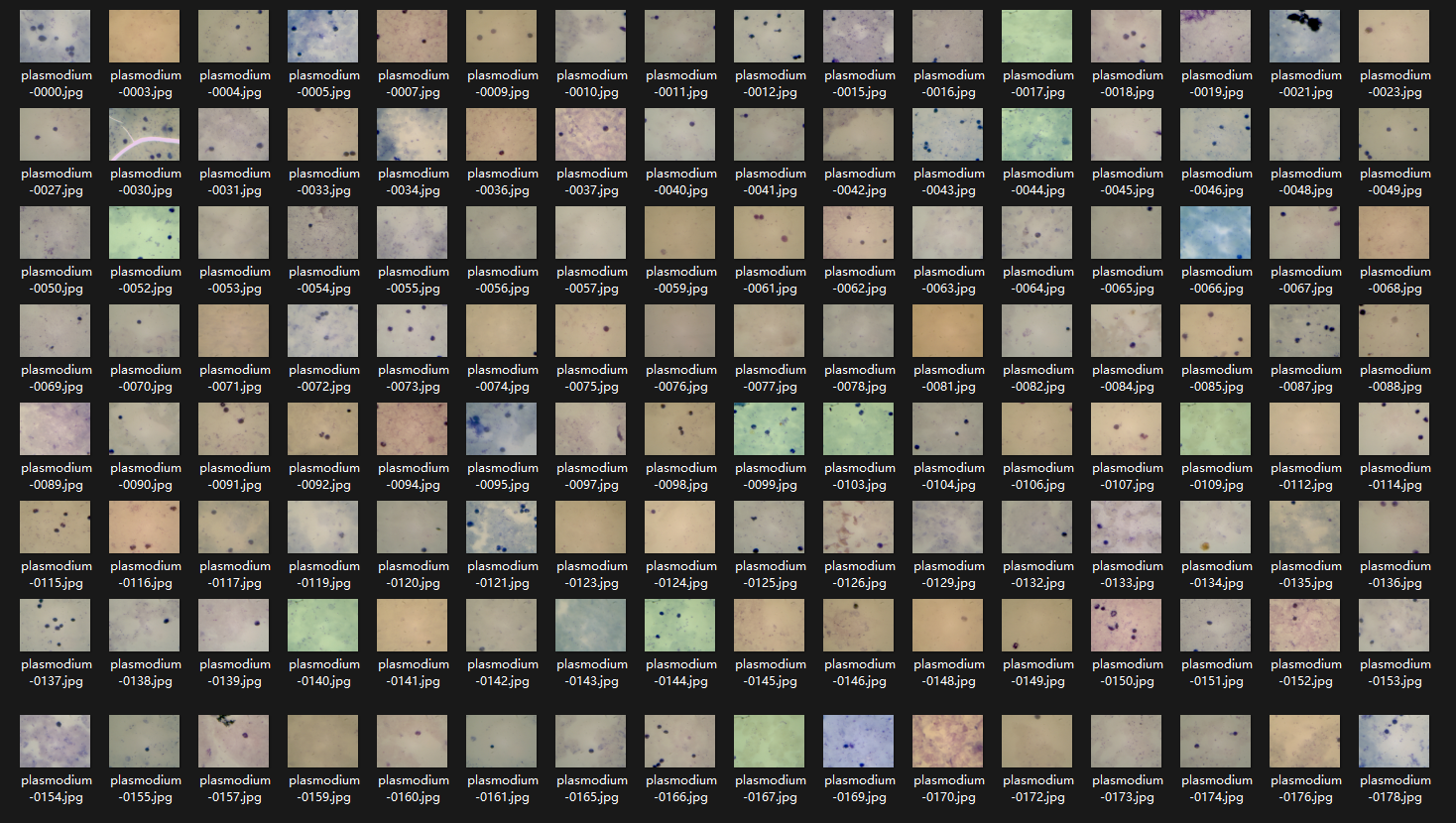 image-20250819113646178