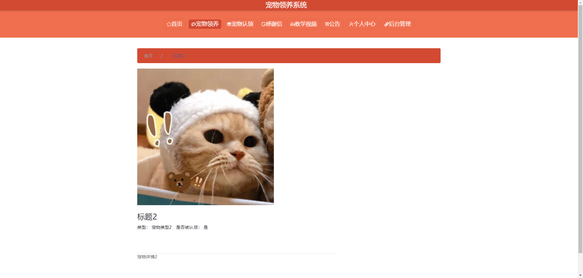 宠物领养界面