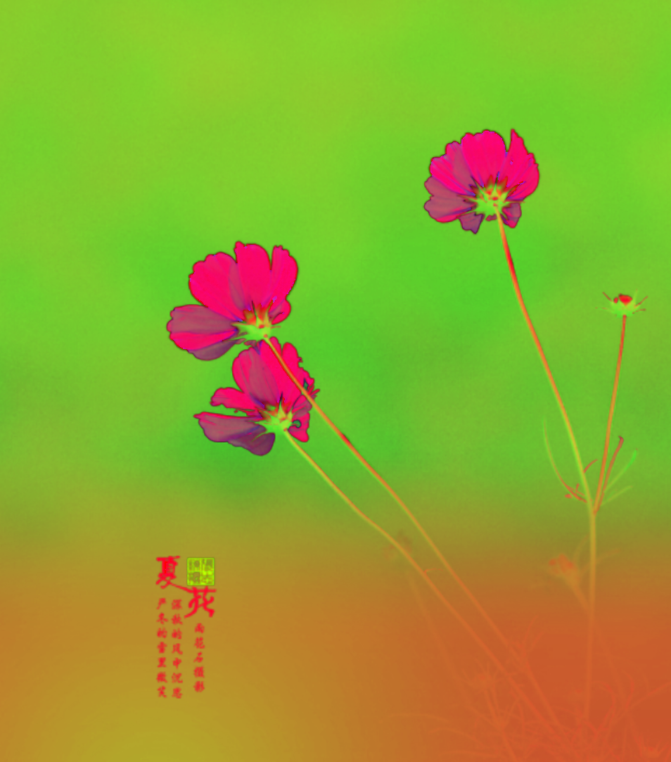 image-20250723171607449