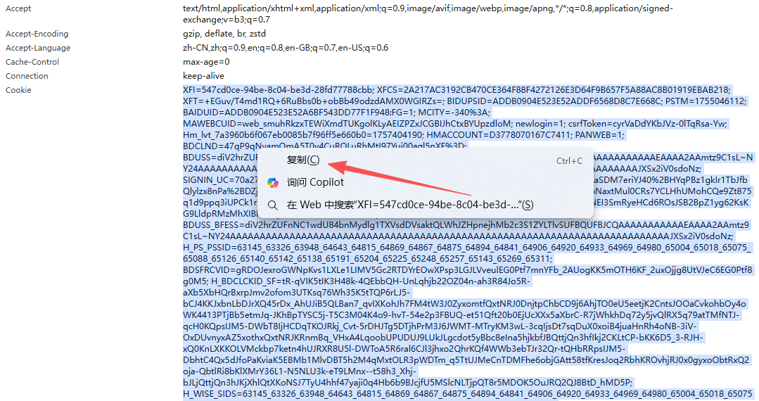 复制 Cookie 内容