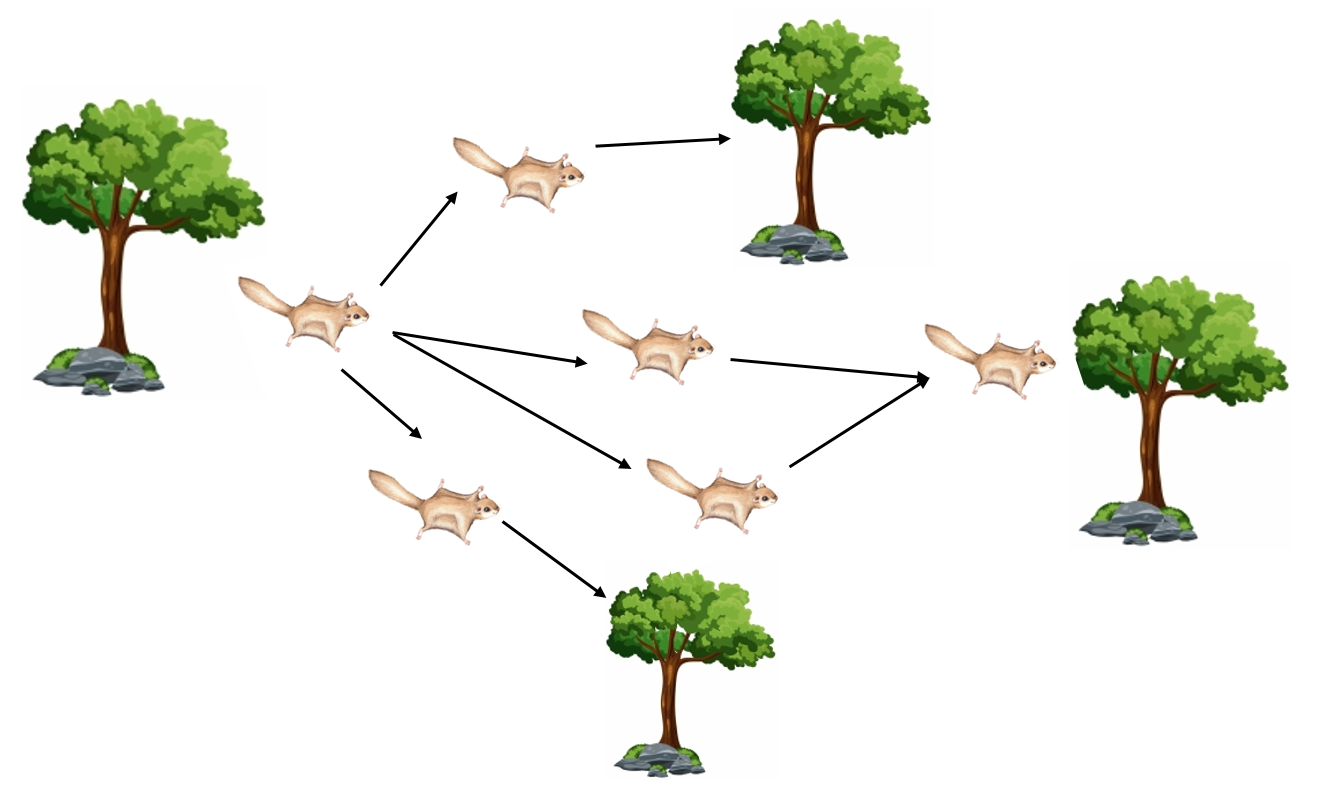 图8：松鼠在树间的飞行行为