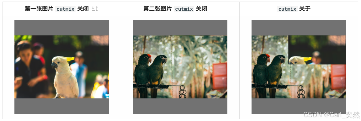 【机器视觉】一文掌握数据扩充方法，确实很赞。_数据扩充_10
