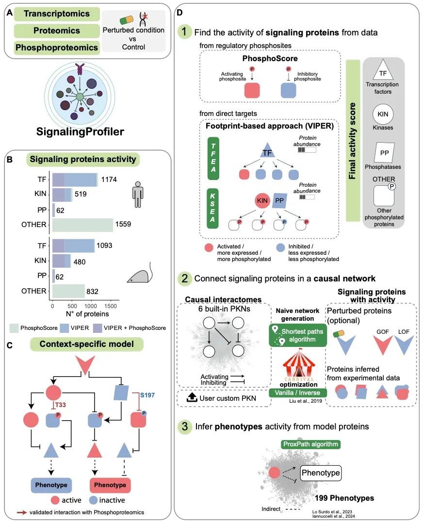 网络连接多组学数据与表型特征SignalingProfiler2.0_signaling profiler-CSDN博客