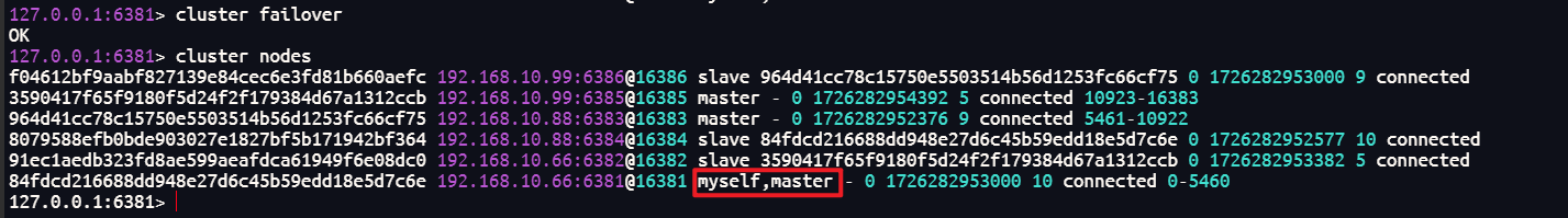 image-20240914110303864