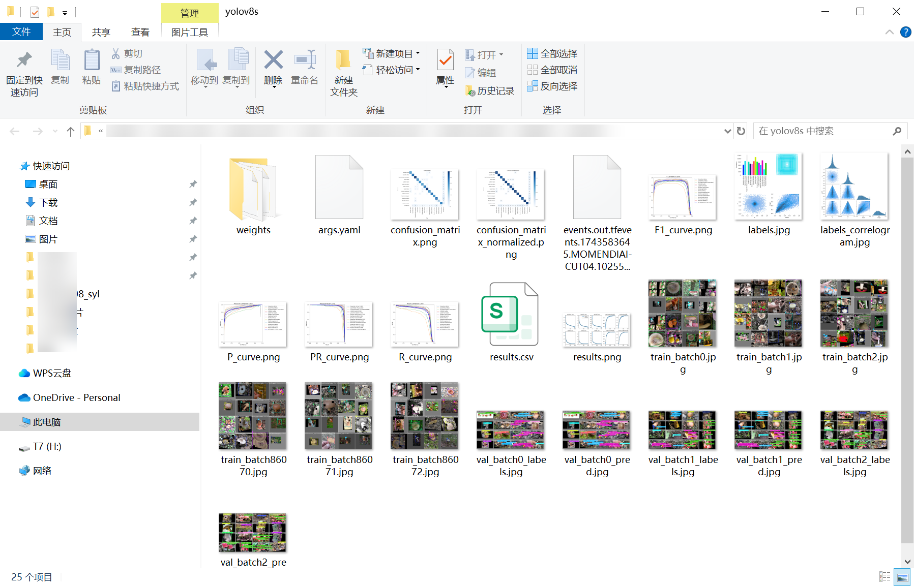 53_mushroom_det-weights_folder_screenshot.png