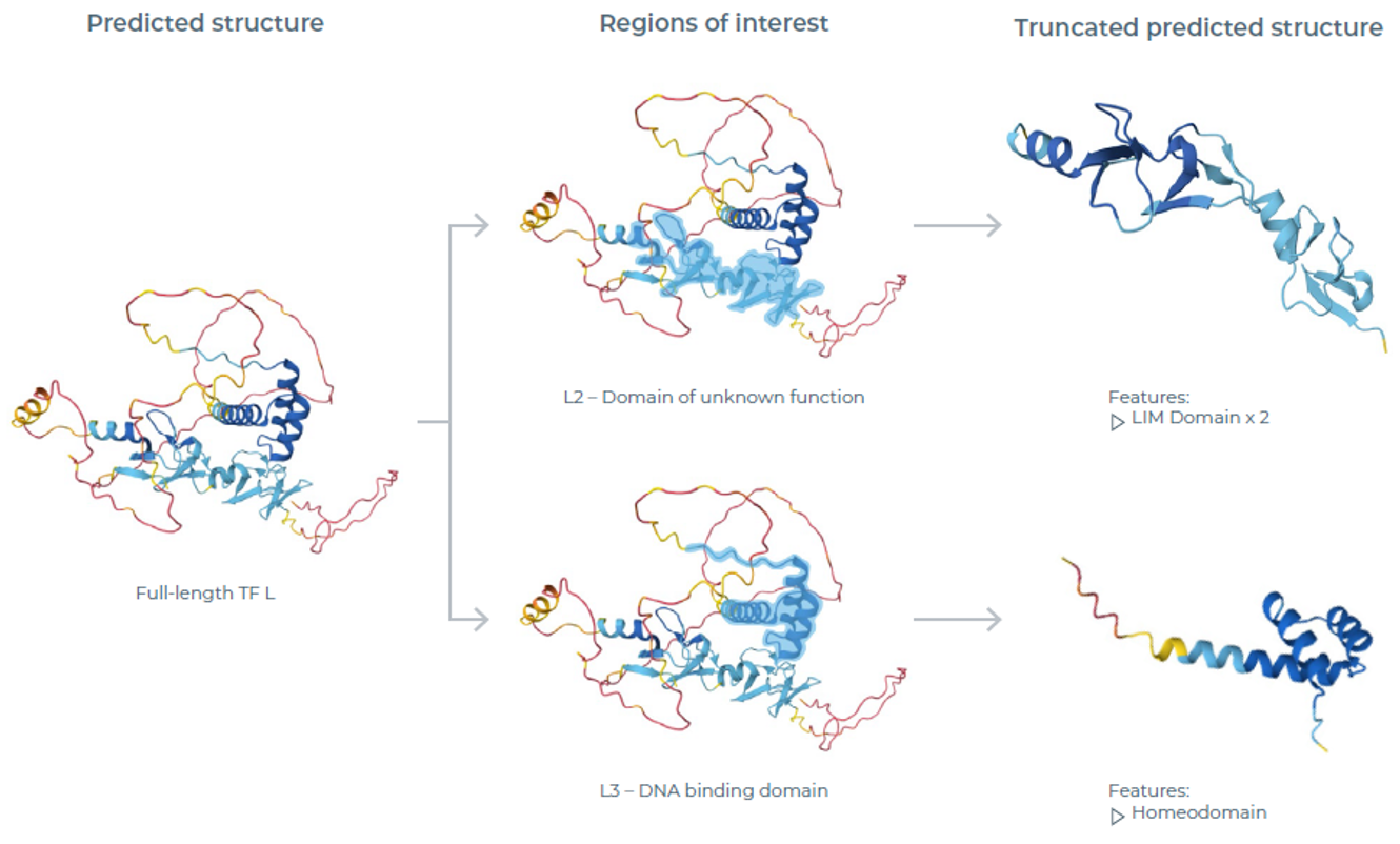 TFL AlphaFold结构预测