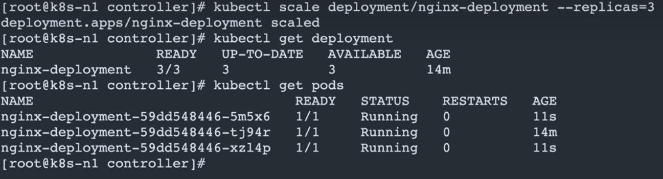 image-20251122224348926