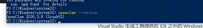 image-20260309225438719