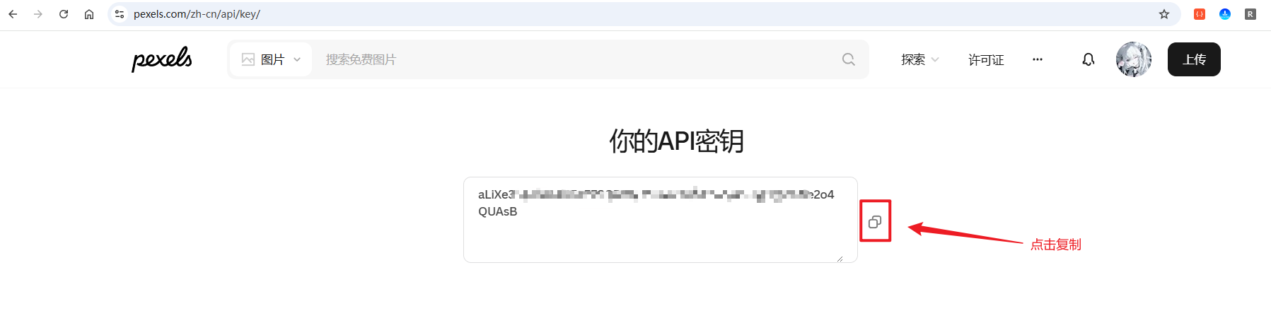 image-20250930104327028