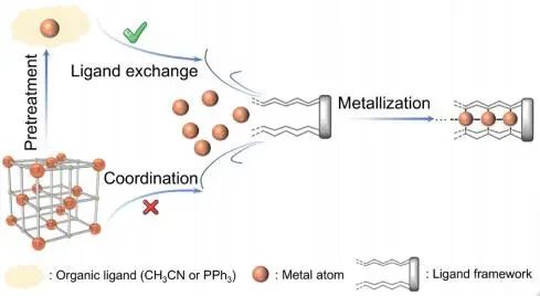 彭慧胜院士,Angew!