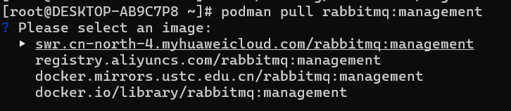 image-20251115131952516