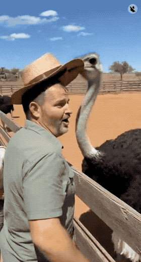 【最全Sora2官方提示词】Sora 2使用教程：新一代真实世界级AI视频生成_含Sora API使用示例与在线使用