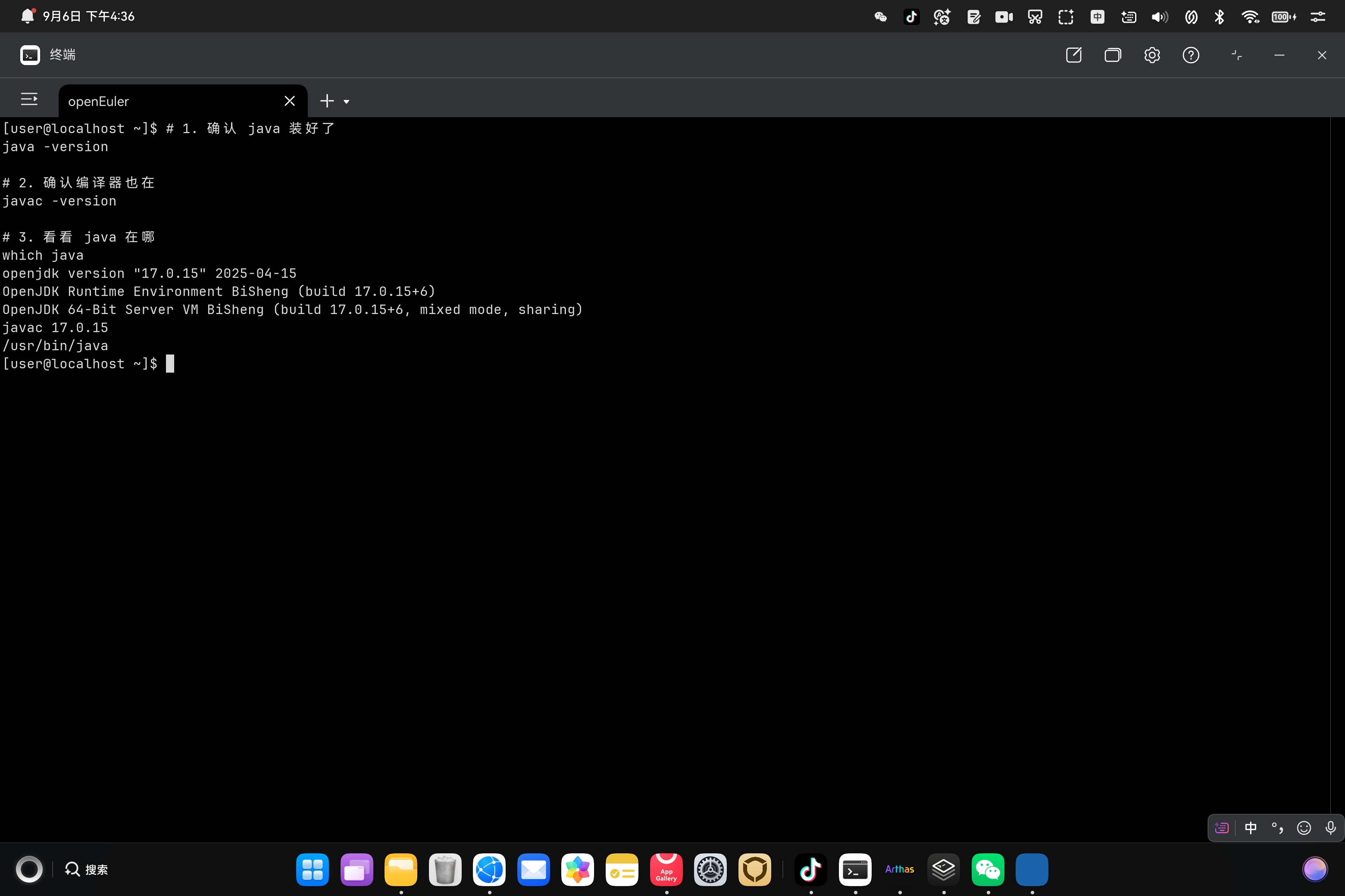 编写并编译 Demo.java
